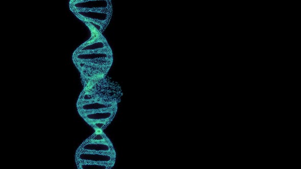 DNA Strand Damage Destruction 