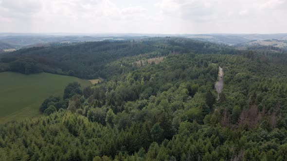 bird's eye view of the pine covered mountains of ruebengarten in germany which form great contrast w