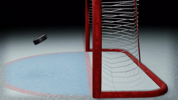 Hockey goal. The puck flies into the goal on the ice rink.