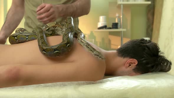 Health Treatmant with Snakes Massage