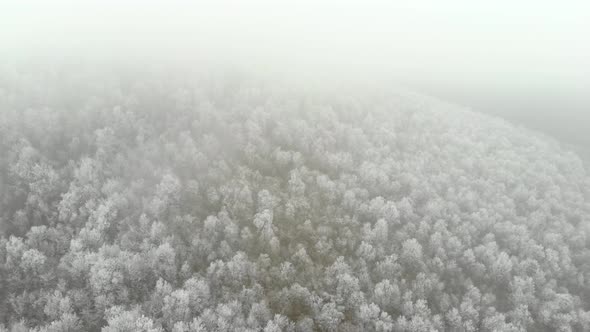 Aerial Of Ice Frozen Forest alt