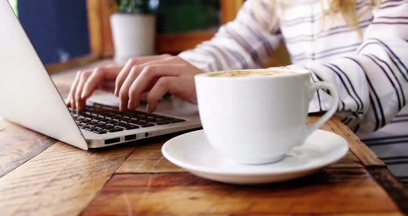 Female customer using laptop in cafe