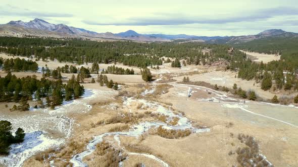 Aerial view of Pikes National Forest in the Winter