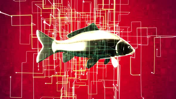 Abstract animation of a fishing concept on the grid