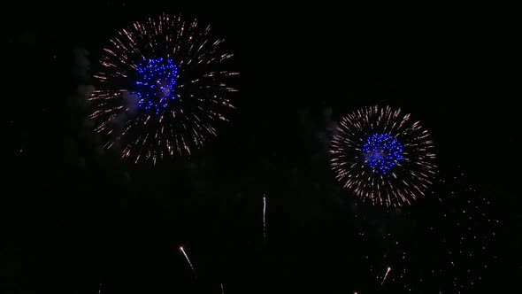 Colorful Firework display at night on sky background