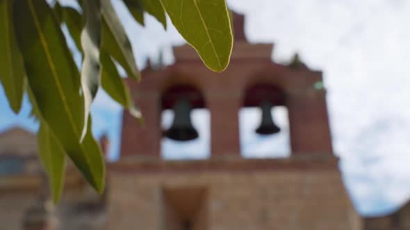 Take between the leaves the bells of the cathedral of Santo Domingo, sunny day