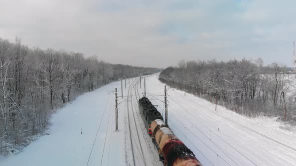 Freight Train in Winter Forest