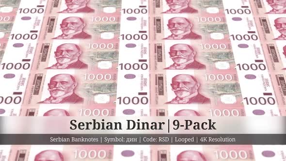 Serbian Dinar | Serbia Currency - 9 Pack | 4K Resolution | Looped