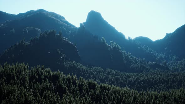 Wide Angle Shot of Mountains Landscape with Spring Forest