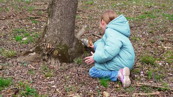 a Little Girl in a Blue Jacket Feeds a Squirrel a Nut From Her Palm