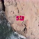 Aerial, top down, drone shot of a woman lying on a towel in Mallorca, Spain - VideoHive Item for Sale