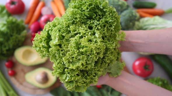 Healthy Organic Food Concept. Green Salad In Hands And Lots Of Vegetables.