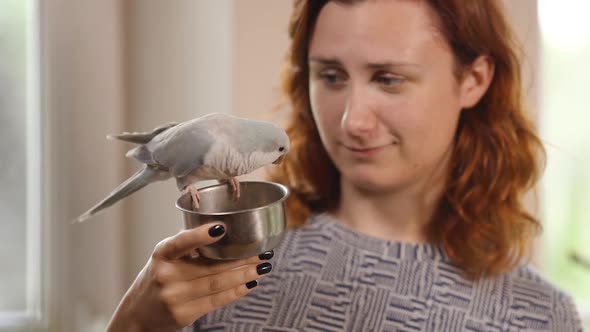 Young Woman Holds Feeder with Light Blue Quaker Parrot Eating and Being Cute