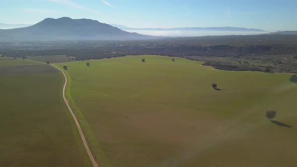 Aerial view of an extense meadow in a sunny hazy day with mountains in the background.