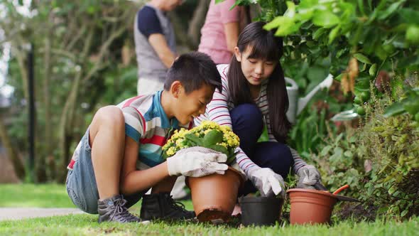 Happy asian brother and sister in garden, planting flowers and talking, with parents in background