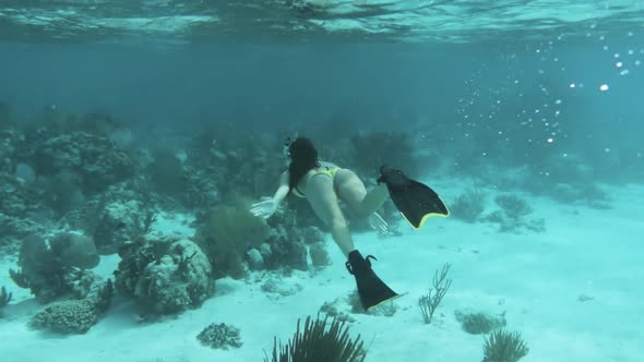 Girl Snorkeling In Caribbean Ocean Barrier Reefs Underwater