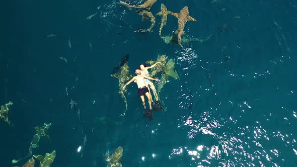Relaxed couple floating on sea surface above swimming sharks