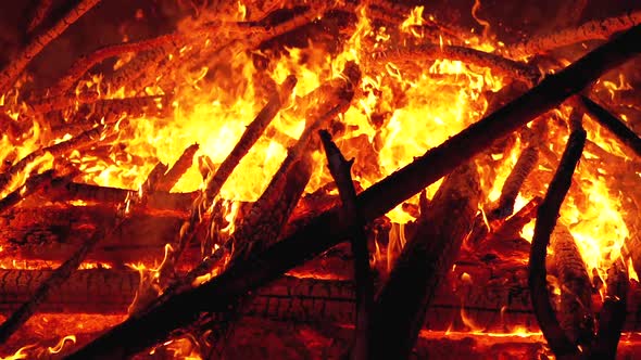 Big Bonfire of the Logs Burns at Night in the Forest