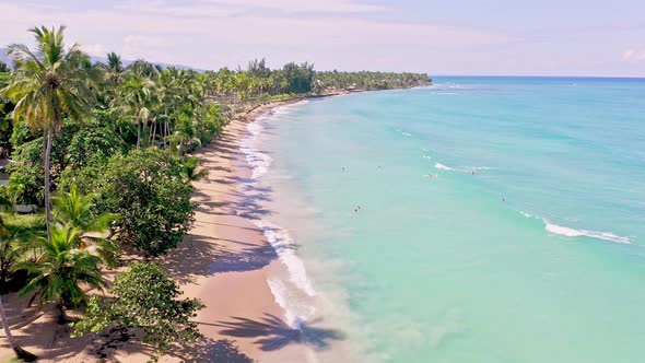 Crystal clear Caribbean sea with perfect palm fringed beach in summer