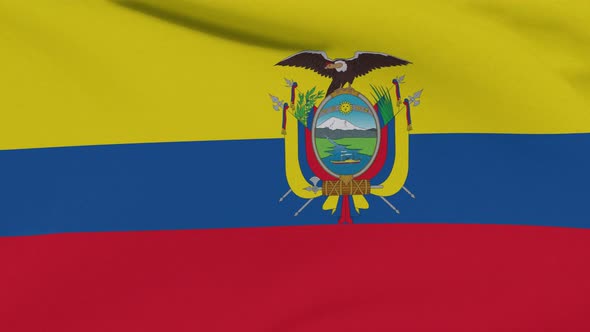 Flag Ecuador Patriotism National Freedom Seamless Loop