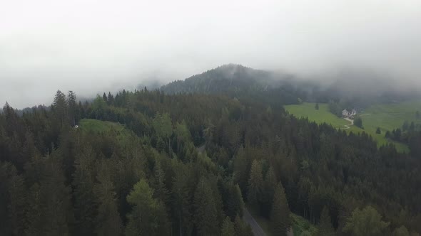 Amazing Landscape with Green Fields, Car Road and Pinery in Mountain, Aerial View