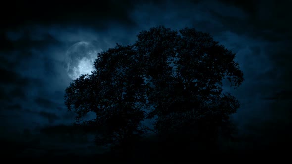 Moon Behind Large Tree With Scary Clouds Moving Over