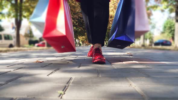 Woman with Shopping Bags