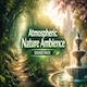 Atmospheric Nature Ambience Sound Pack