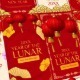 Chinese New Year Story - VideoHive Item for Sale