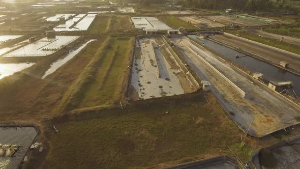 Shrimp Farming in Indonesia