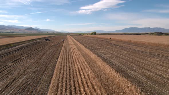 Flying over cornfield in the Fall