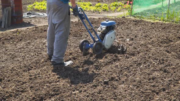 Man Cultivates the Soil in the Garden Using a Motor Cultivator - Tiller