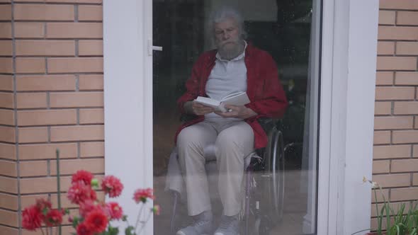 Confident Intelligent Handsome Old Man in Wheelchair Reading Closing Book Thinking Sitting Behind