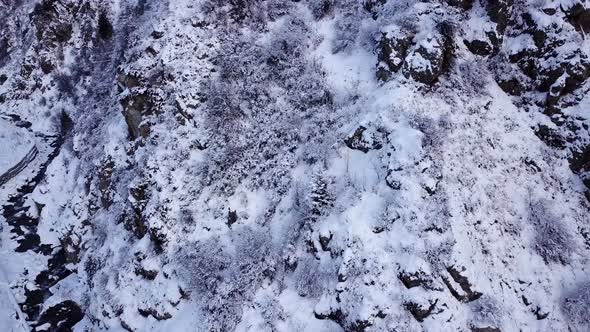 Snowy Mountains Winter Forest and Road with Cars