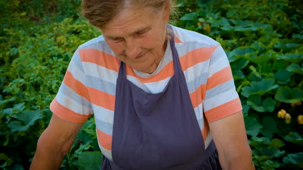 Senior Woman Makes Preservation of Vegetables