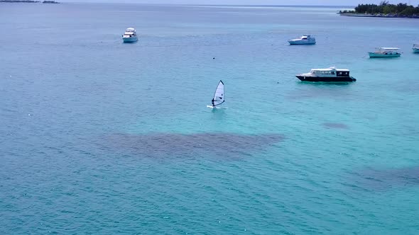 Aerial drone nature of bay beach wildlife by clear water and sand background