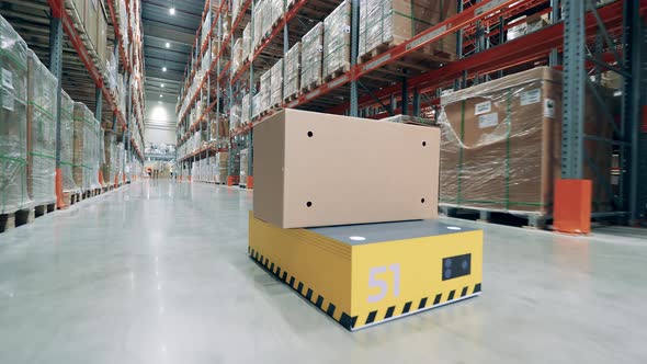 Robotic Transporter is Relocating a Box in the Warehouse
