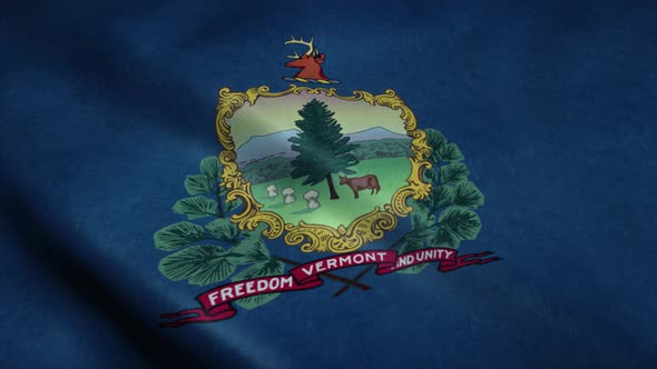 State Flag of Vermont Waving in the Wind