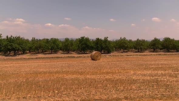 Round Hay bales scattered in a field, Aerial view.