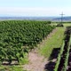 Cross on top of hill, green vineyards around. Aerial shot, camera fly around - VideoHive Item for Sale