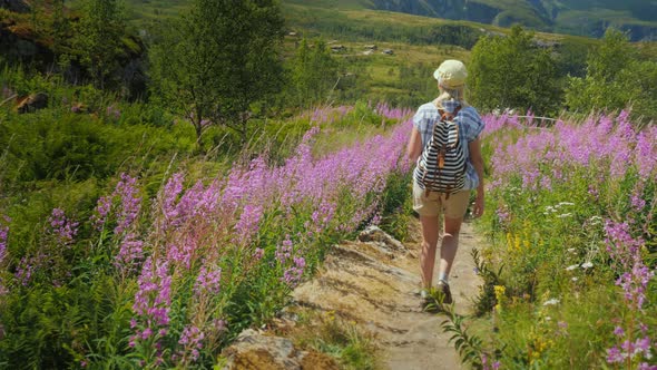 Back View of A Woman with a Backpack Walks Along a Picturesque Path Among the Flowers of Willowtea