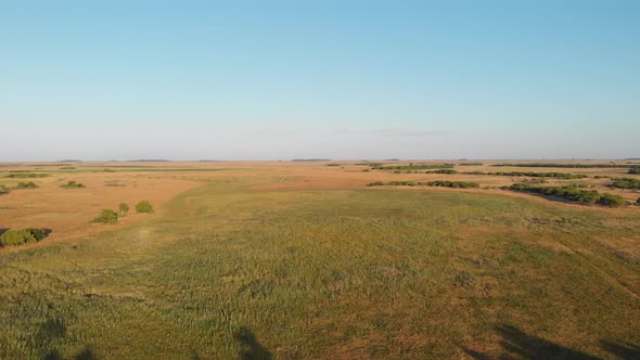 Argentinean countryside. Clear skies in summer. Pampa Humeda, Province of Buenos Aires. Drone shot.