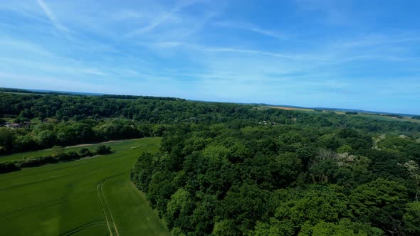 FPV DRONE SHOT - Flight above field and trees