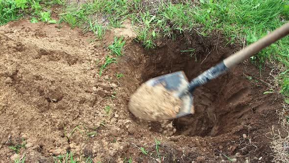 Closeup Man's Hands Digging a Hole with a Shovel for Planting a Plant