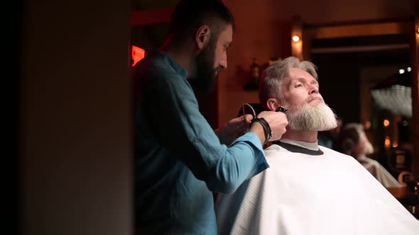 A gray-haired respectable man gets a beard trimming service