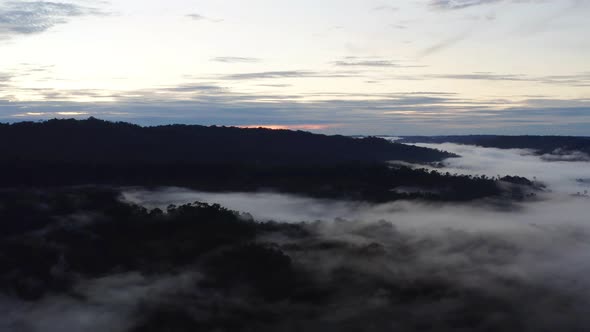 Sunrise in a tropical forest, the dark rainforest canopy covered in fog or mist