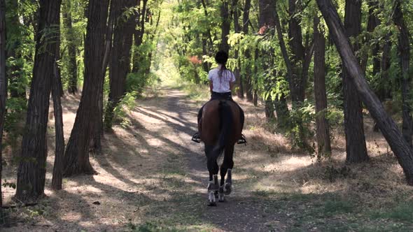 Girl Sits on Horse and Slowly Moves Through an Alley in Forest