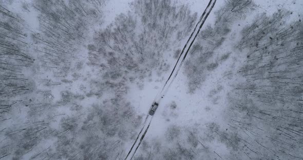 The Car Rides On A Snow-covered Road In The Forest. Aerial Top View.