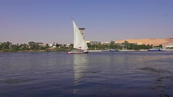 Egyptian Felucca Boat Sailing Along Nile River