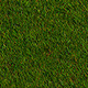 Realistic Autumn Grass - 3DOcean Item for Sale